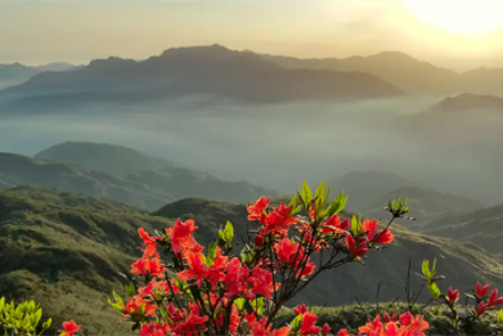 今日立夏丨君馳篩機(jī)愿您充滿能量，生猛成長(zhǎng)！